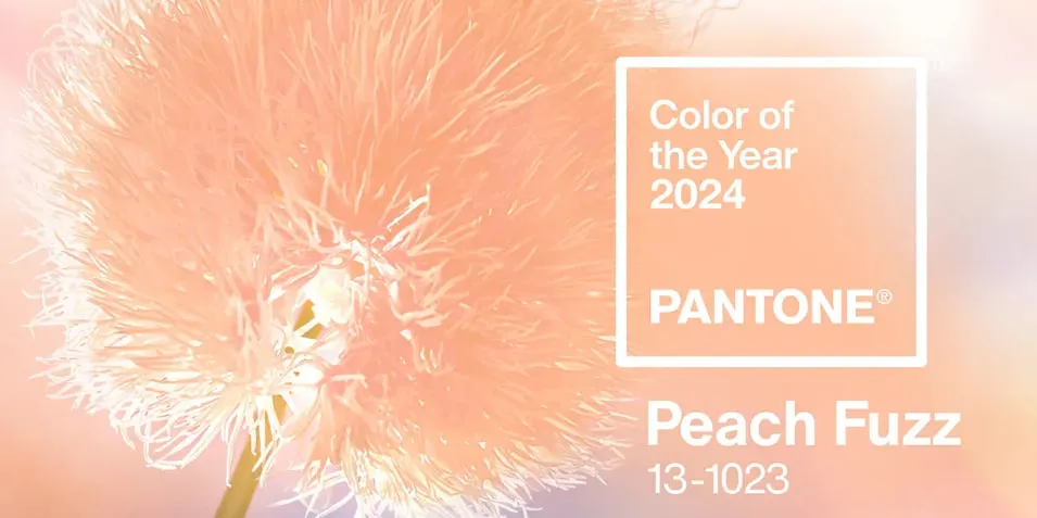 цвет года 2024 Pantone.jpg