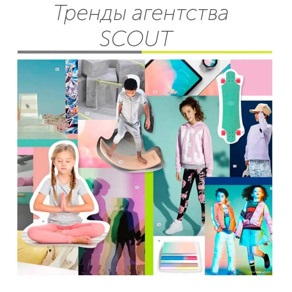 Скаут.jpg