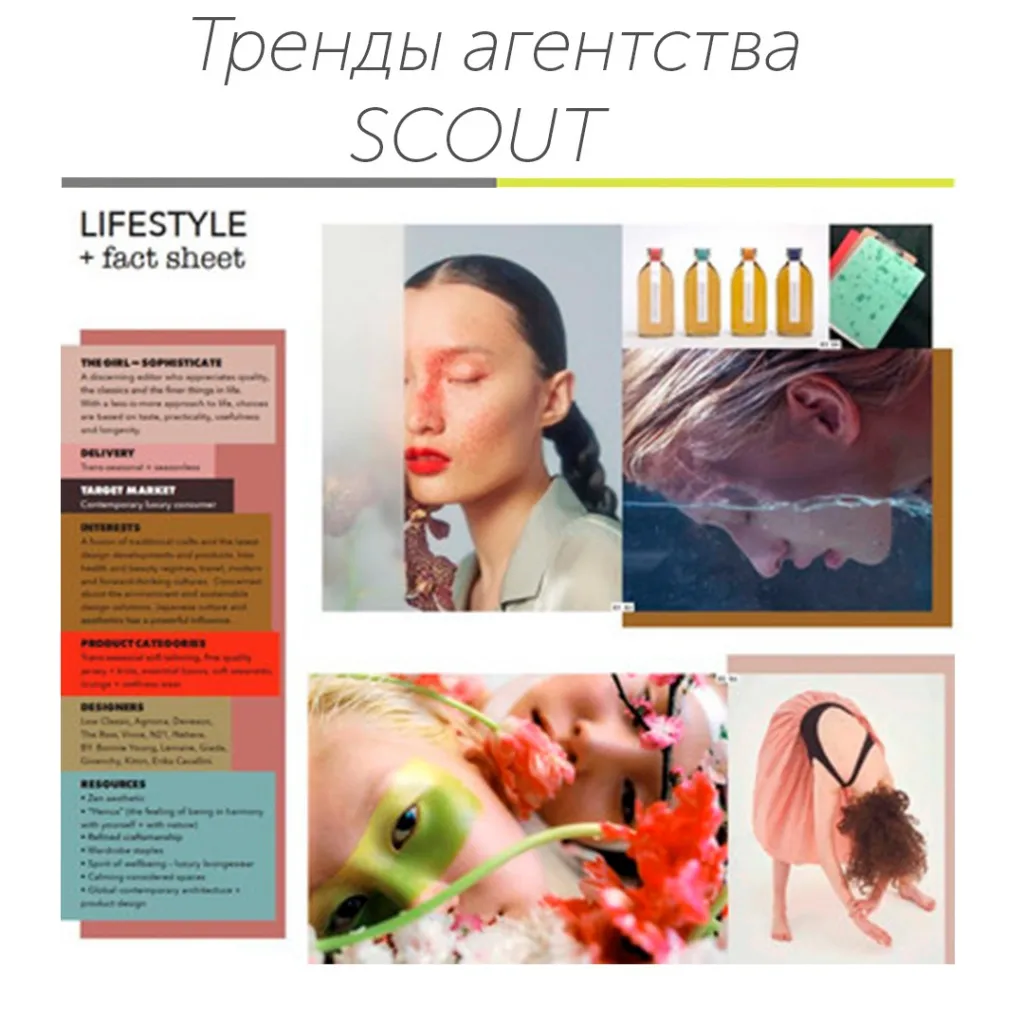 Скаут.jpg