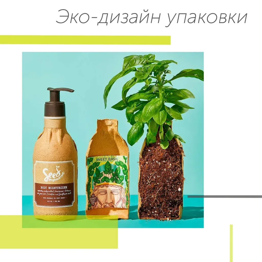 2 Эко-дизайн упаковки.jpg